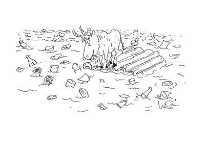 400x300 Goat On Raft Eating Garabage Floating All Around Him. - Raft Sketch