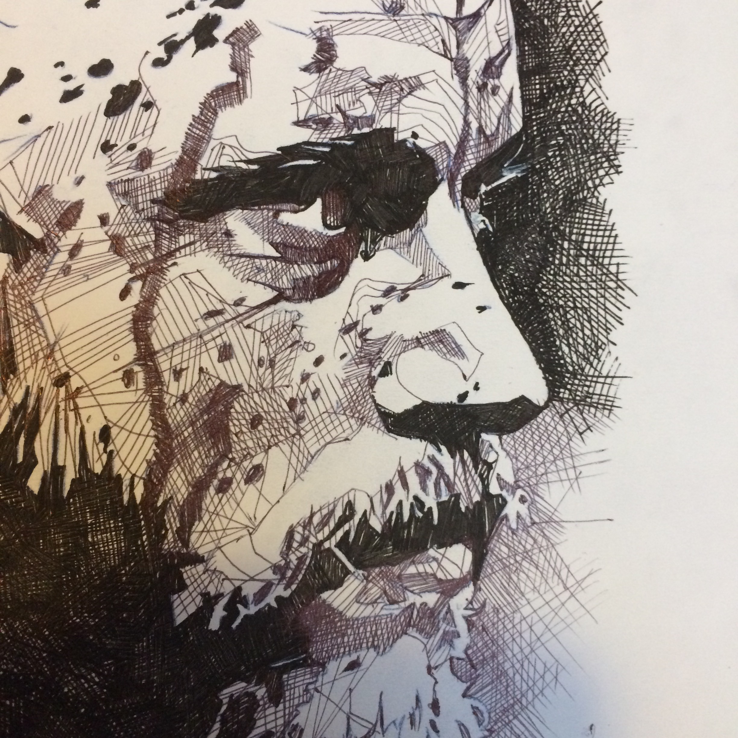 2448x2448 Ragnar Lothbrok Art Studio 70 - Ragnar Lothbrok Sketch