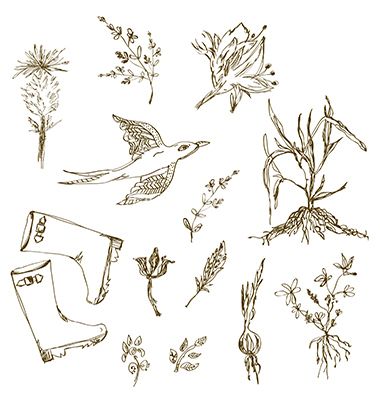 380x400 Garden Herbs Sketch With Birds Plants Rain Boot Flower Vector By - Rain Boots Sketch