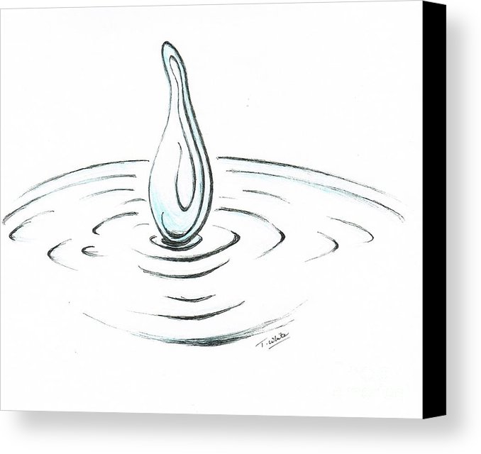 678x640 Rain Drop Canvas Print Canvas Art By Teresa White - Rain Drop Sketch