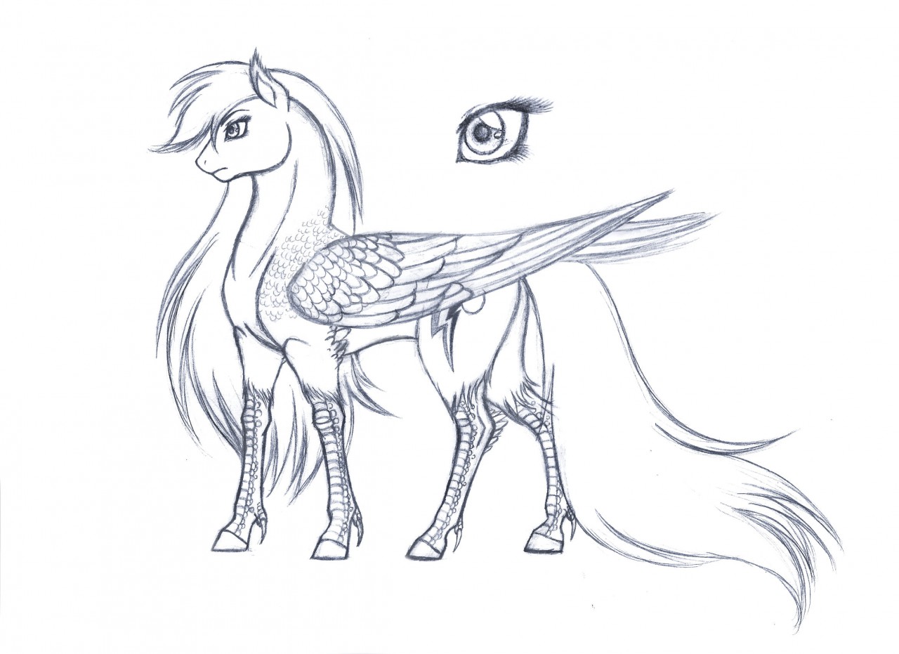1280x931 Rainbow Dash (Pegasus Concept Sketch) By Silverwolf866 - Rainbow Dash Sketch