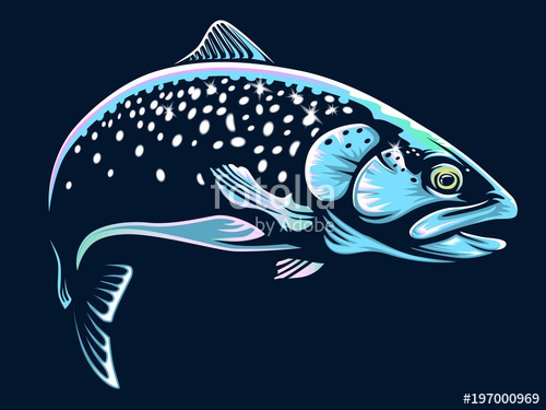 500x375 Realistic Drawing Of The Rainbow Trout Jumping Out Water.sketch - Rainbow Trout Sketch