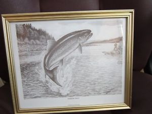 300x225 Framed Rainbow Trout Pencil Sketch Print By Artist F.w. Davis Ebay - Rainbow Trout Sketch