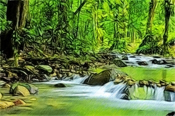 350x233 Plants In The Rainforest(Sketch) By T Douglas Painting - Rainforest Sketch