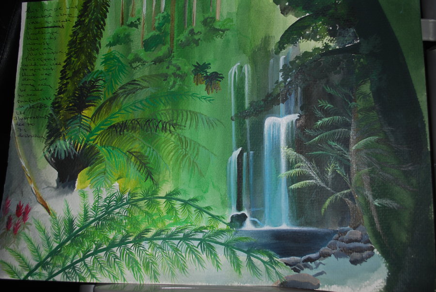 Amazon Rainforest Drawing At Paintingvalley Com Explo - vrogue.co
