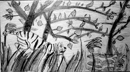 425x236 Rainforest - Rainforest Sketch