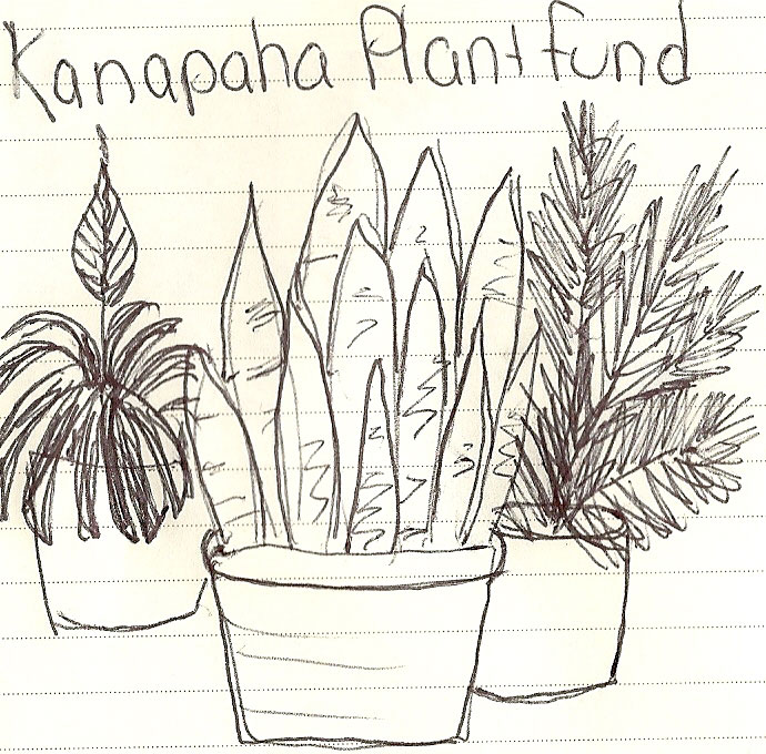 690x680 The Rainforest Garden Sketch A Plant Sunday - Rainforest Sketch