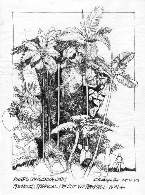 500x674 Tropical Rainforest Planned For Phipps Conservatory - Rainforest Sketch