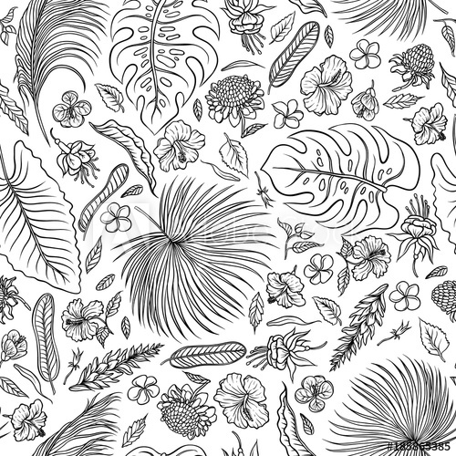 500x500 Vector Sketch Black And White Set Seamless Pattern. The Leaves Of - Rainforest Sketch