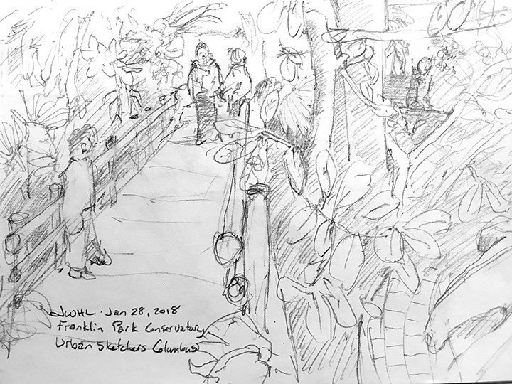 720x540 Rainforest West Hardin Leeth - Rainforest Sketch