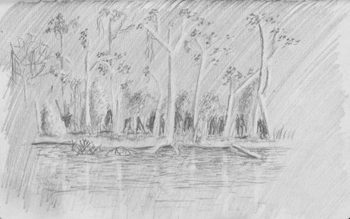 500x313 Brazil Travel Drawings Sketching From Rio De Janeiro To The Amazon - Rainforest Sketch