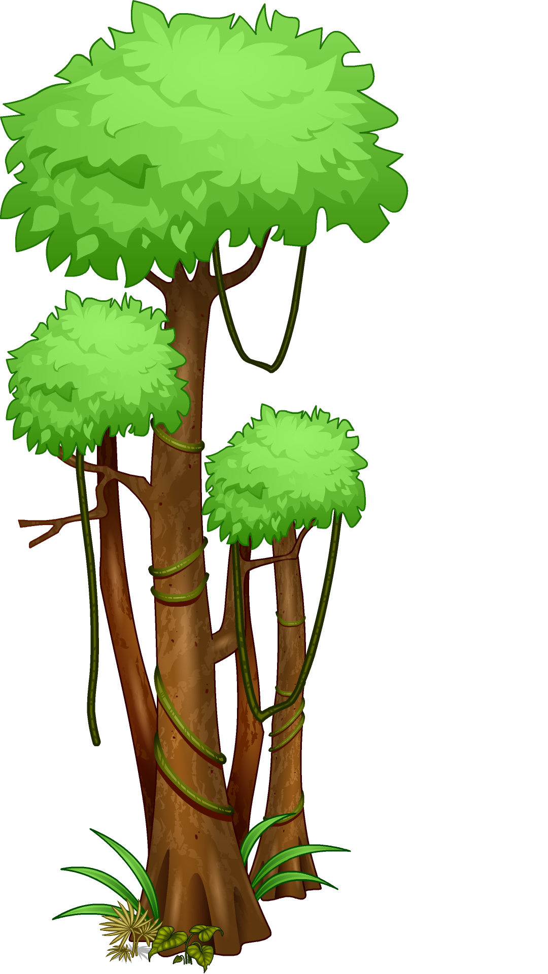Rainforest Tree Drawing Easy