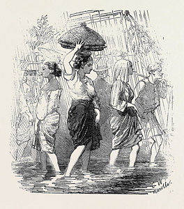 264x300 The Rainy Season Manilla Drawing By English School - Rainy Season Sketch