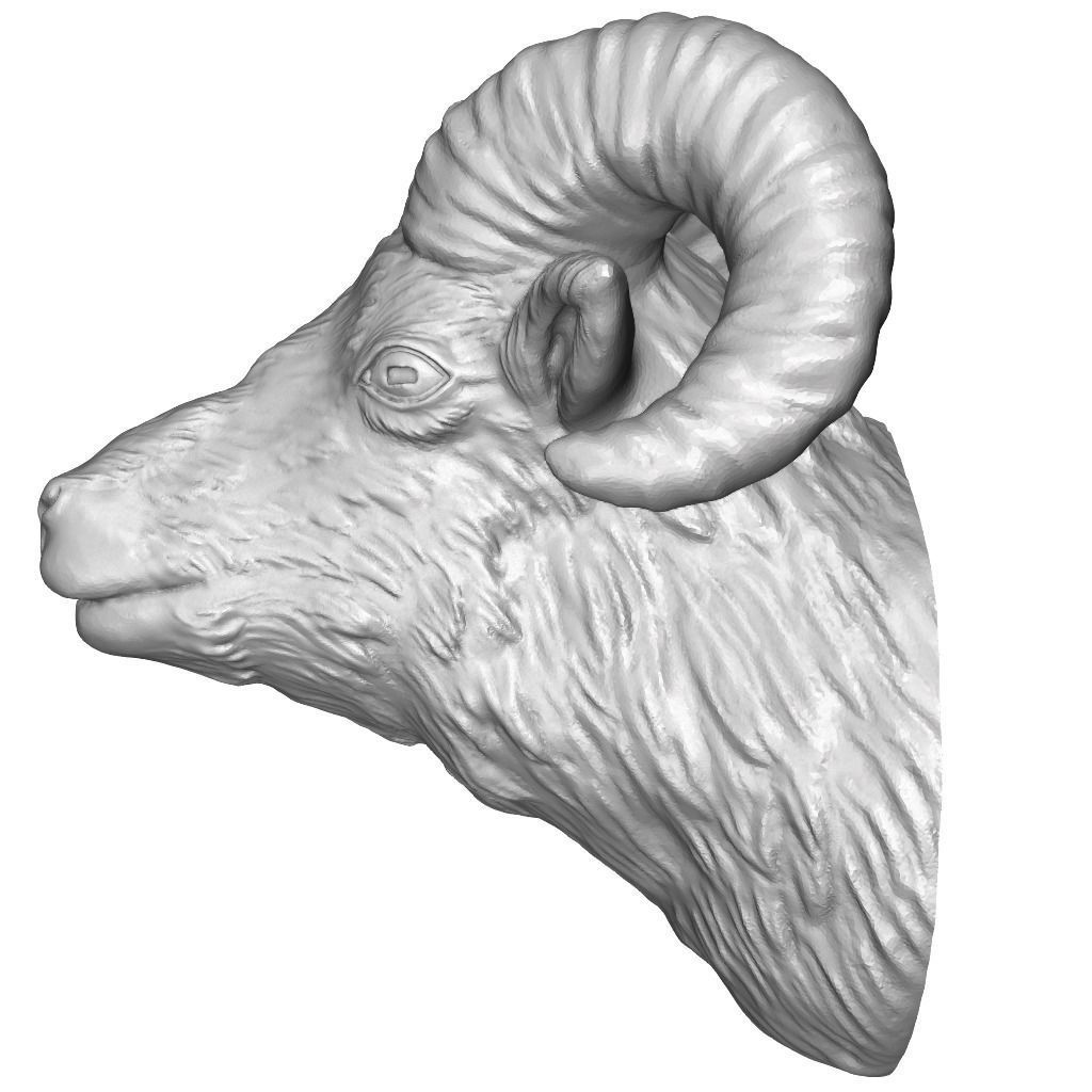 Ram Head Sketch at PaintingValley.com | Explore collection of Ram Head ...