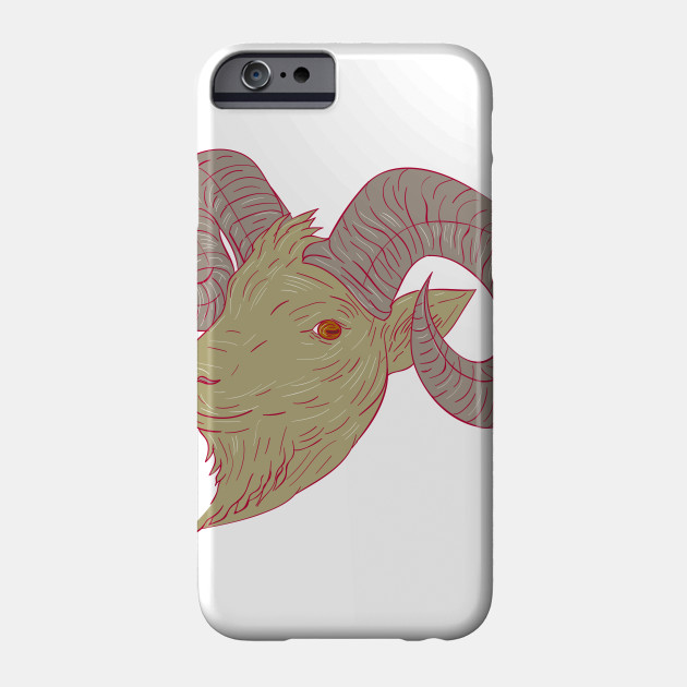 630x630 Mountain Goat Ram Head Drawing - Ram Head Sketch