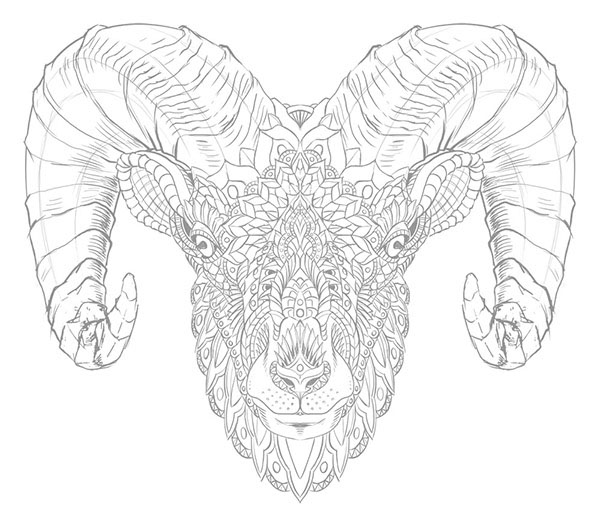 600x525 Ram Head (Tattoo Design) On Behance - Ram Head Sketch