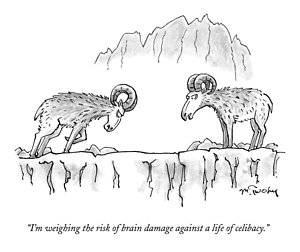 300x252 Ram Head Drawings Fine Art America - Ram Head Sketch