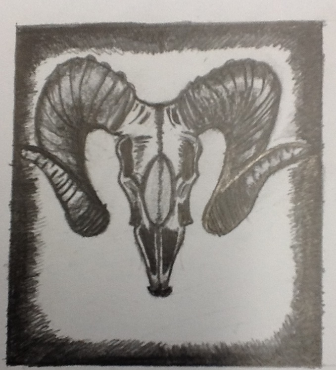 679x747 Ram Head Sketch By Shoppingtrolley99 - Ram Head Sketch