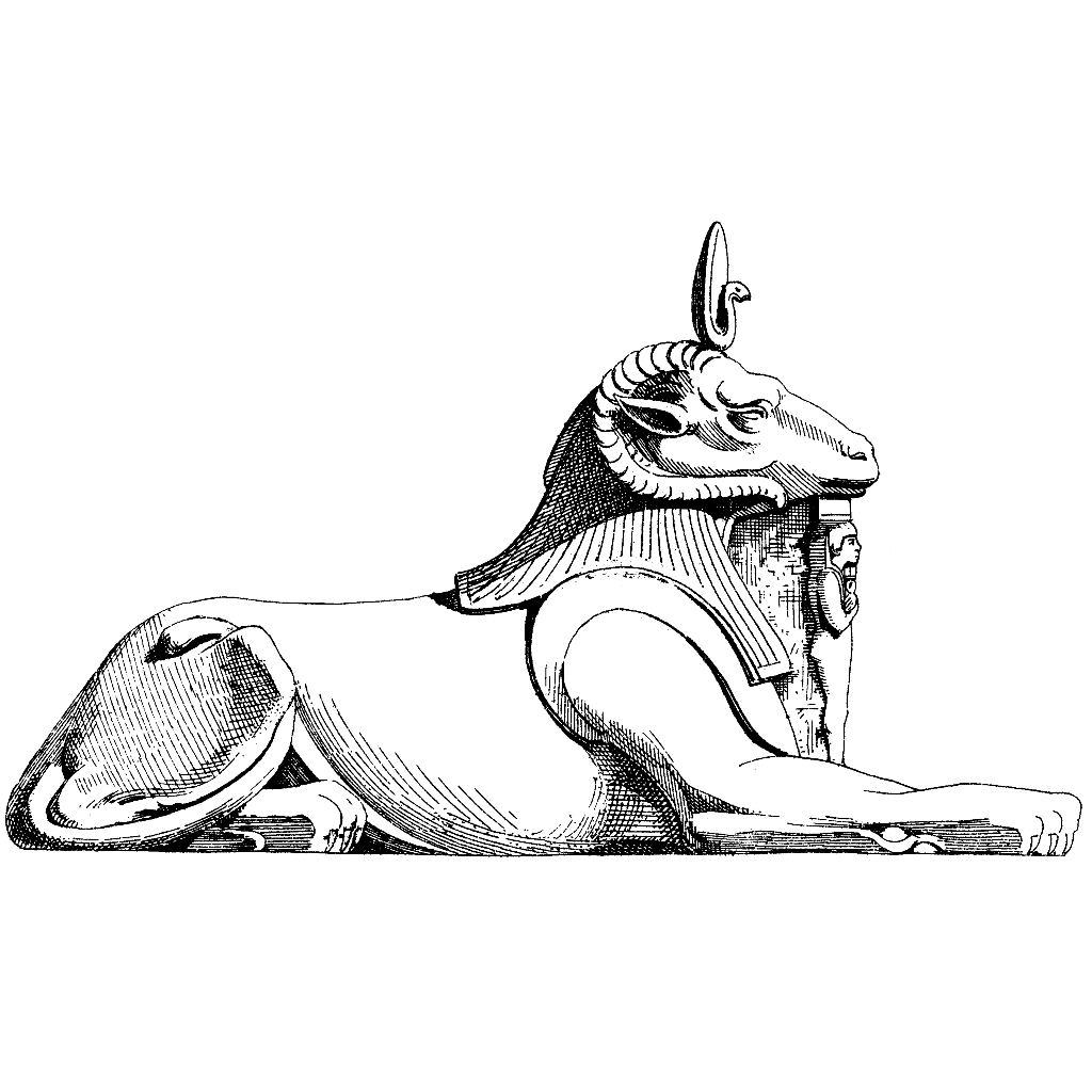 1024x1024 Ram Head Sphinx 1437j - Ram Head Sketch
