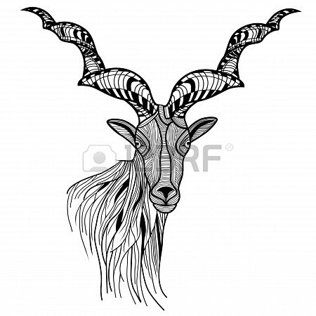 450x450 Ram Head Or Mountain Goat Line Art Sheep Vector Animal - Ram Head Sketch