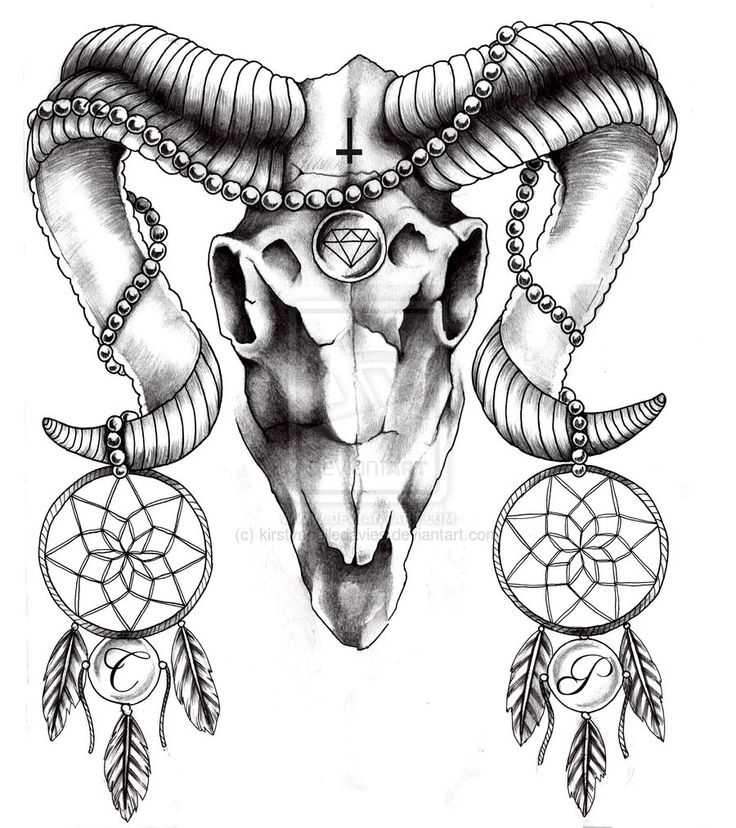 736x828 Drawn Skull Ram - Ram Head Sketch