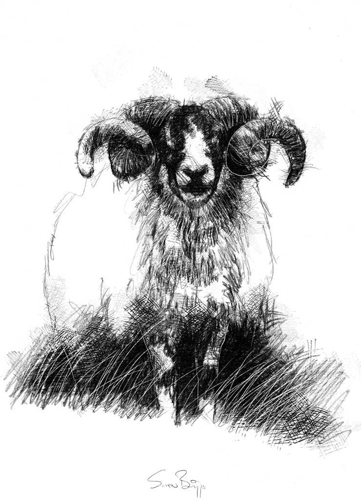 740x1024 Old Ram Sketch A Day Art Drawings Sketches - Ram Sketch