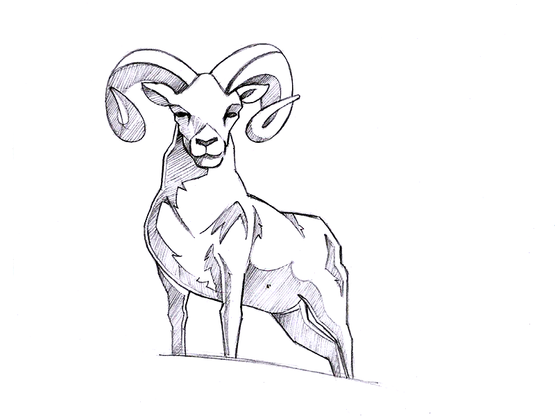800x600 Ram Sketch Design By Koncept Makers - Ram Sketch