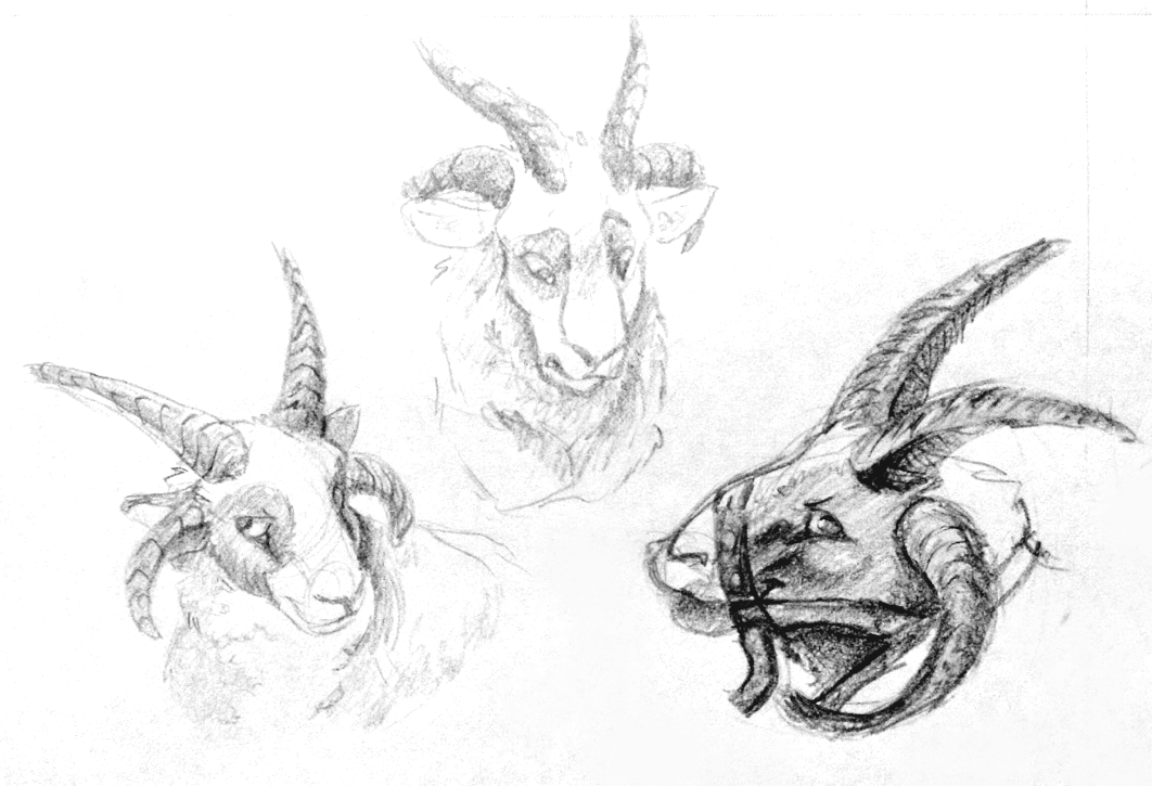 1062x725 Sketch Studies - Ram Sketch