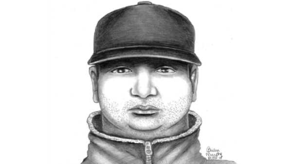 600x338 Police Release Sketch Of Suspect Wanted For Rape Of Jogger In Park - Rape Sketch