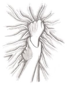 236x307 Drawing Rape - Rape Sketch