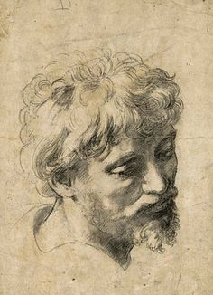 236x326 91 Best Drawings - Raphael Sketches