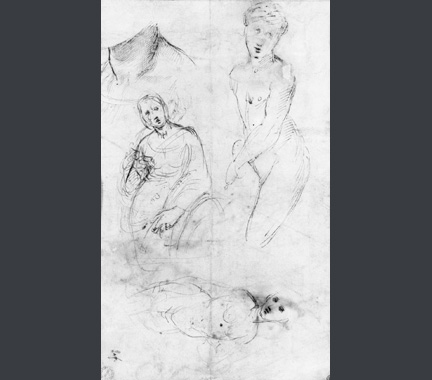 432x380 Drawing And Cartoons Studying Raphael Research The National - Raphael Sketches