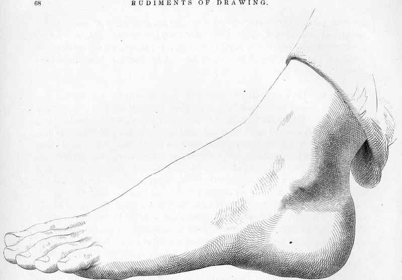 798x557 Rudiments Of Drawingthe Human Figure - Rapid Sketch Tutorial