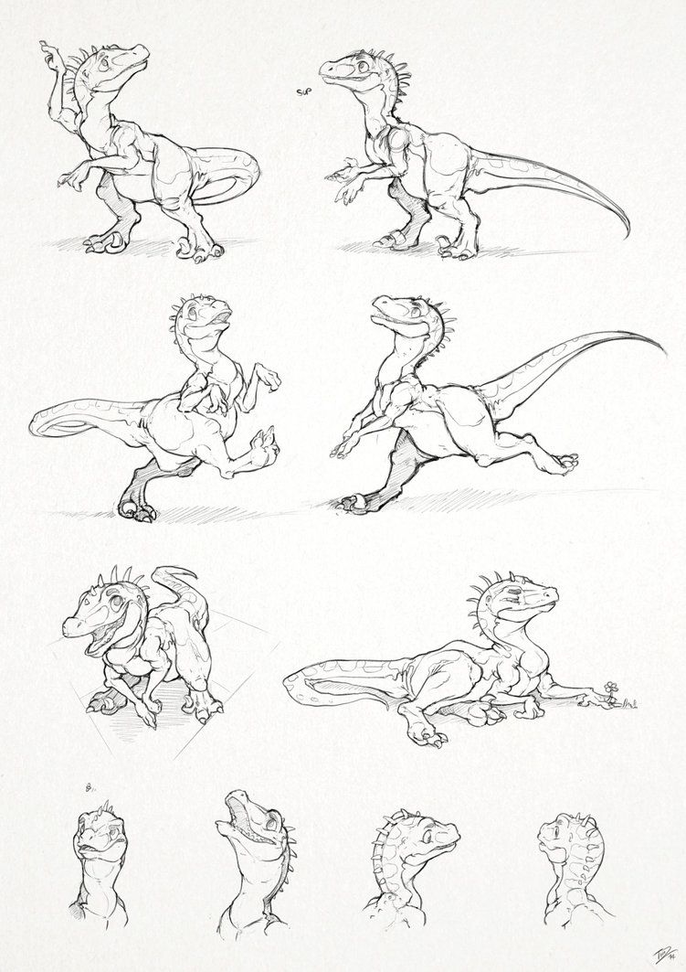 751x1063 Papo Raptor Sketches By Thazumi Prehistoric - Raptor Sketch