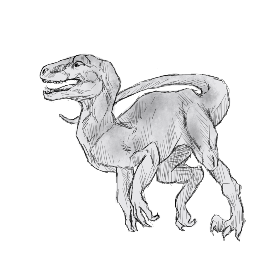 894x894 Raptor Sketch By O0masked Bandit0o - Raptor Sketch
