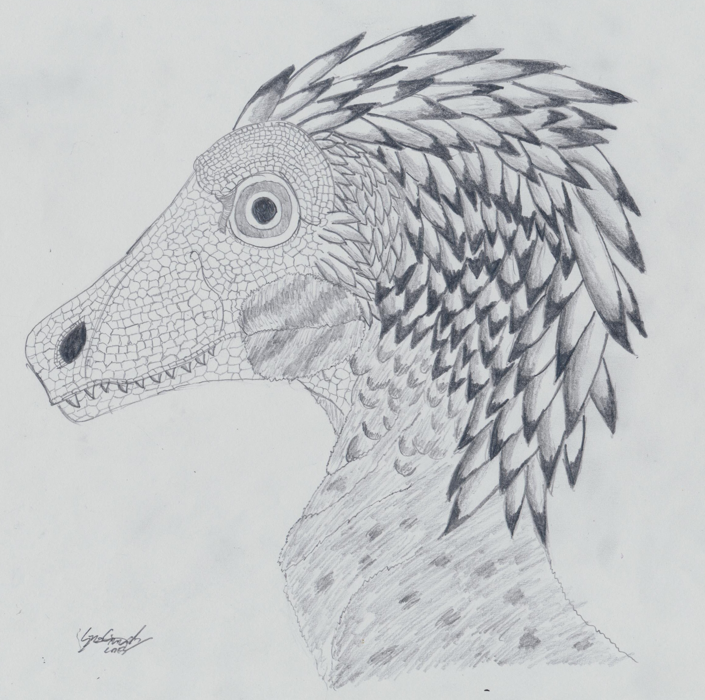 2305x2288 Raptor Sketch - Raptor Sketch