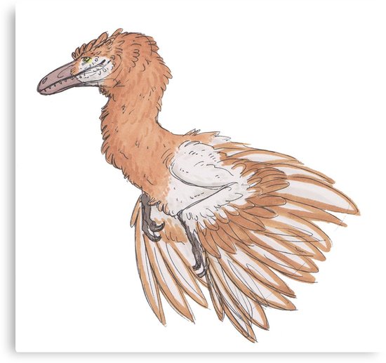 550x517 Raptor Sketch Canvas Prints By T Vr Redbubble - Raptor Sketch