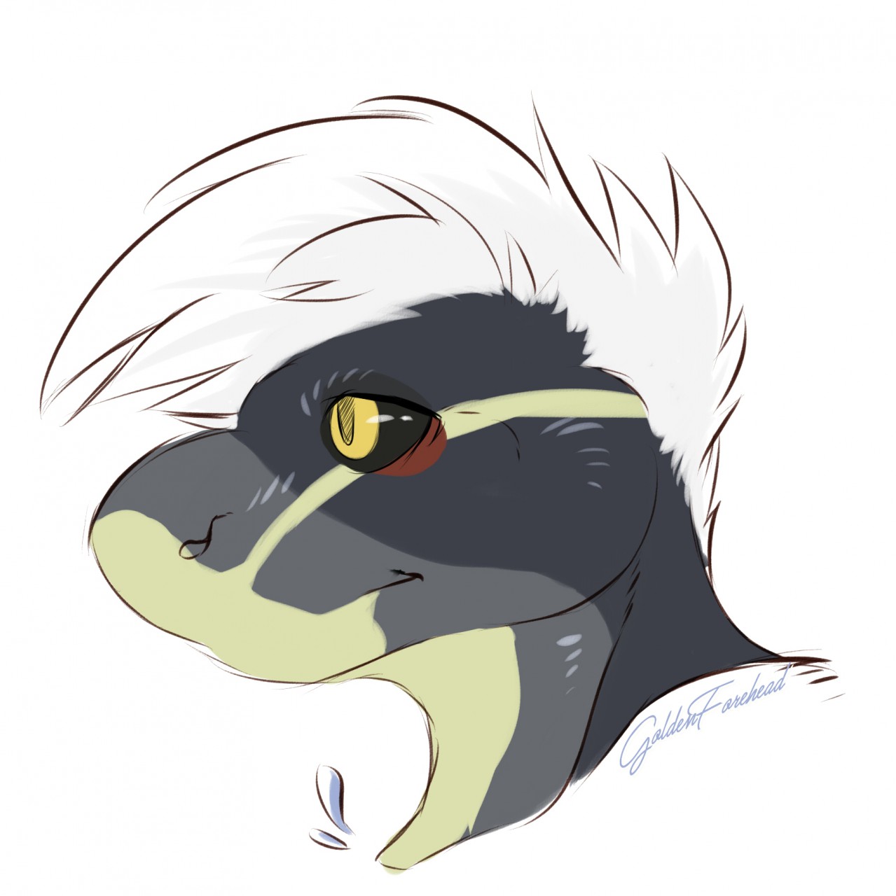 1279x1280 Raptor Sketch By Goldenforehead - Raptor Sketch