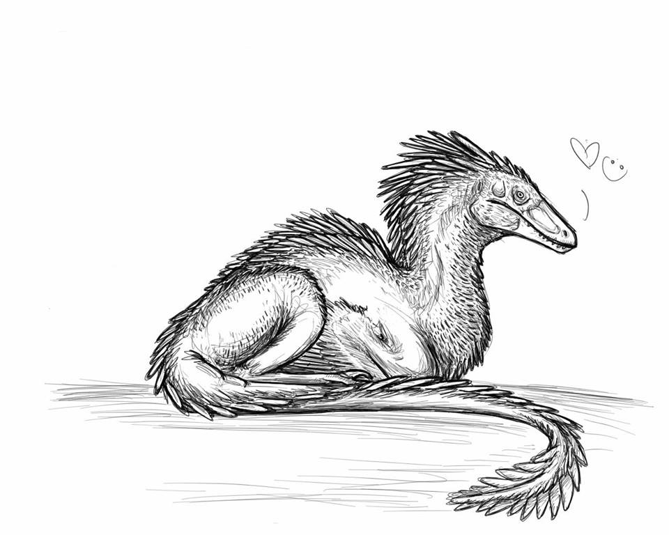 960x768 Resting Raptor Sketch By Dinogirl121 - Raptor Sketch