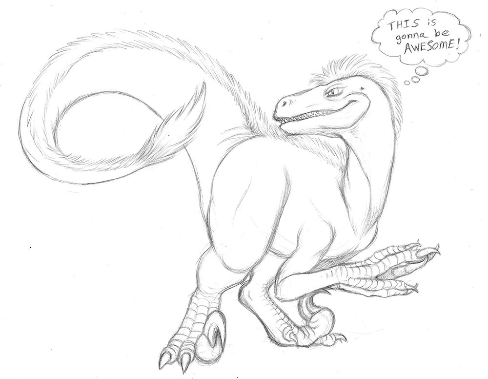 1000x776 Sketch - Raptor Sketch