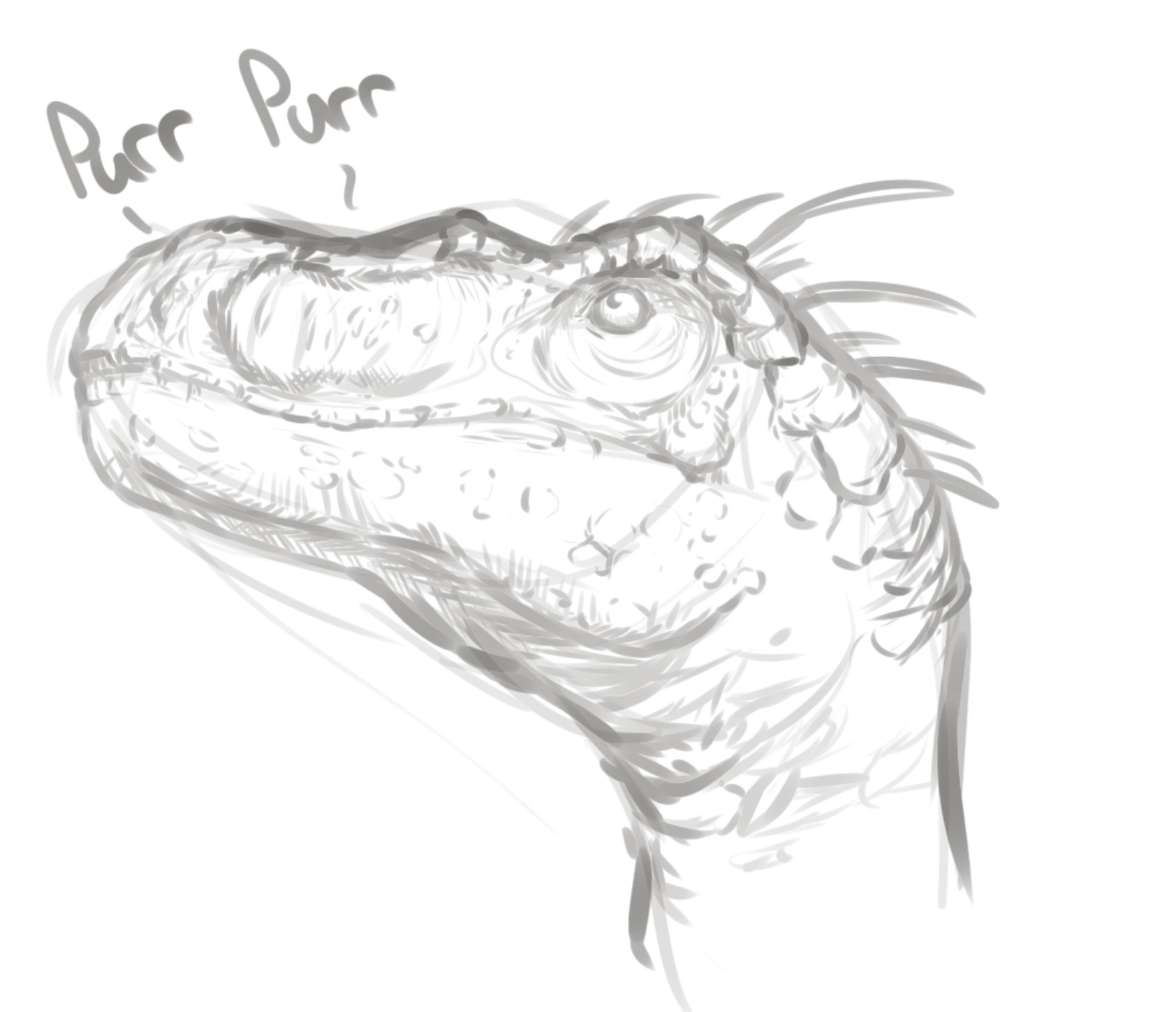 1684x1448 Jan Negron - Raptor Sketch
