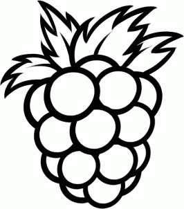 266x302 How To Draw How To Draw A Raspberry - Raspberry Sketch