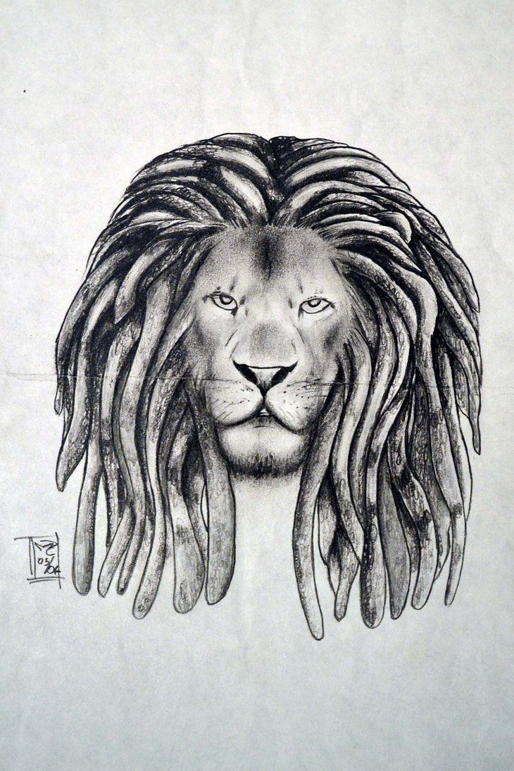 730x1095 Rasta Lion Drawing - Rasta Sketch