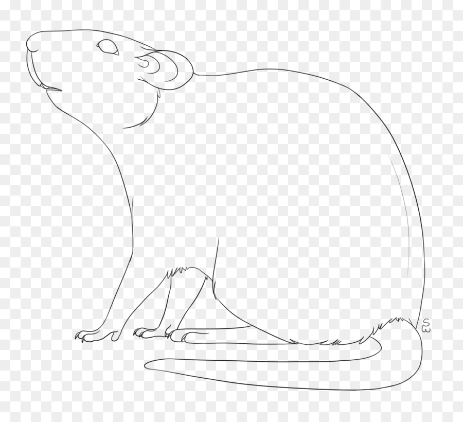 900x820 Whiskers Line Art Rat Persian Cat Sketch - Rat Sketch