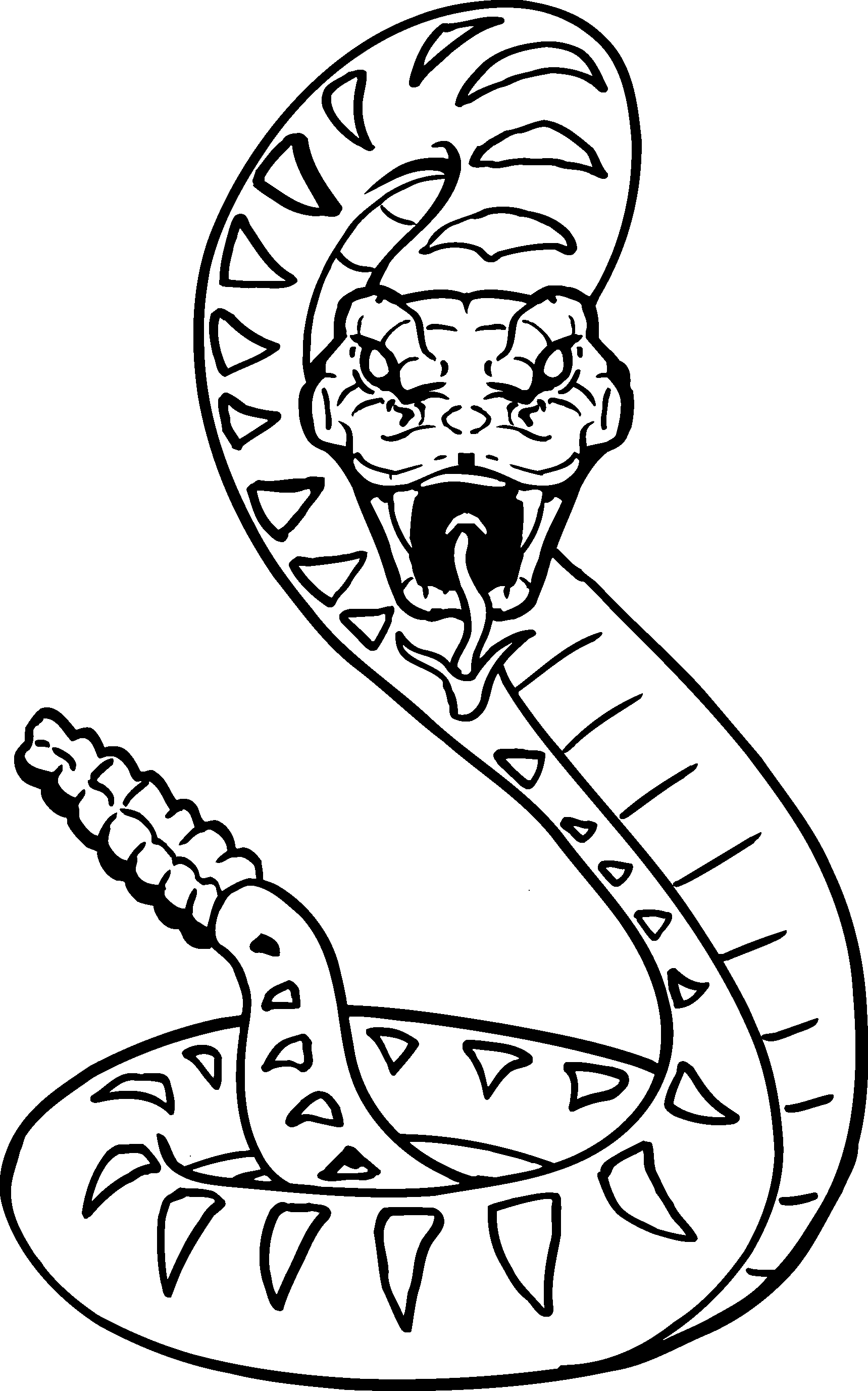 1719x2753 Snake Design Snake Art - Rattlesnake Sketch