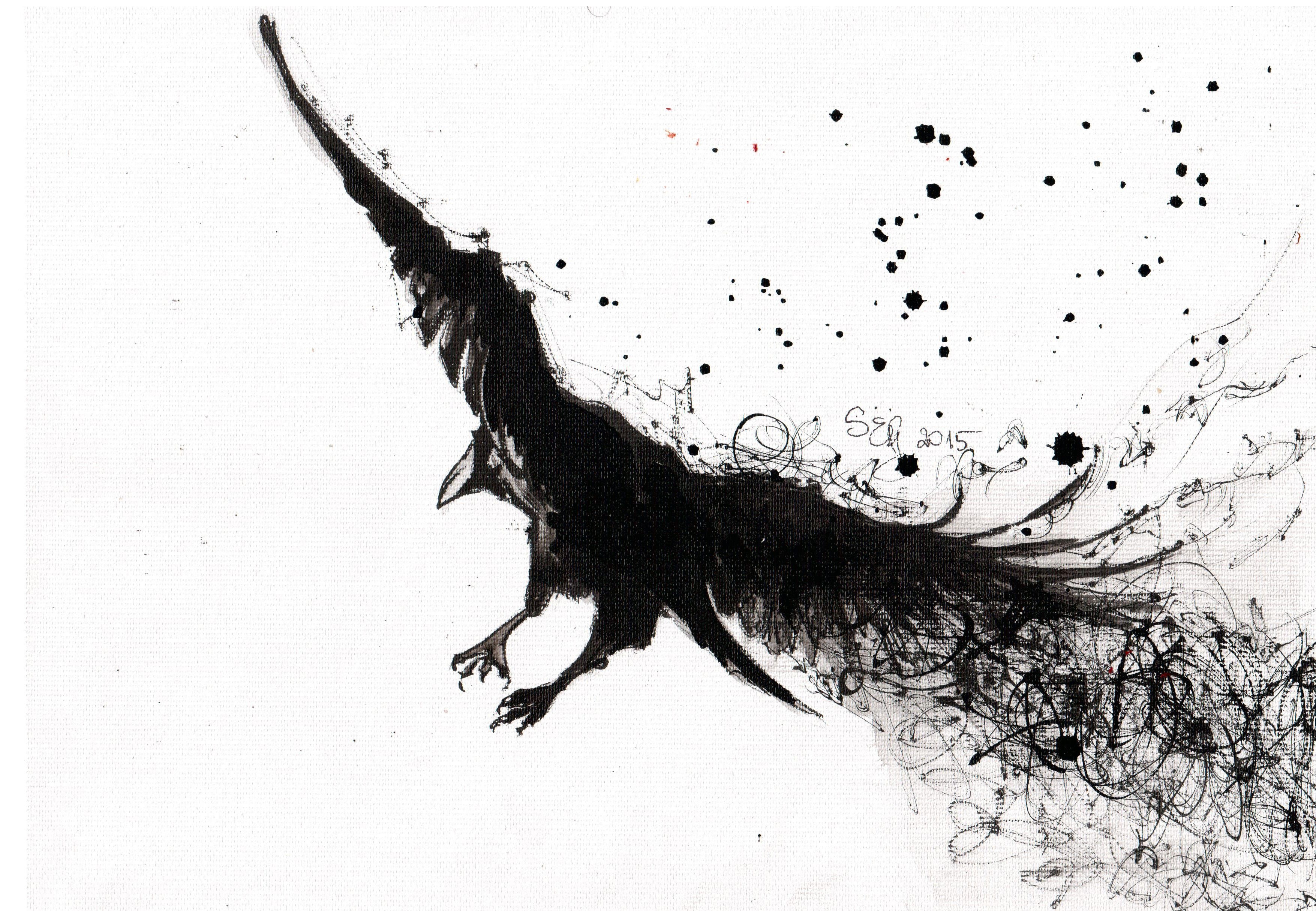 3510x2430 Wallpaper Drawing, Birds, Branch, Raven, Bird Of Prey, Eagle - Raven Bird Sketch