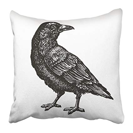425x425 Emvency Throw Pillow Cover Square 18x18 Inches Death - Raven Bird Sketch
