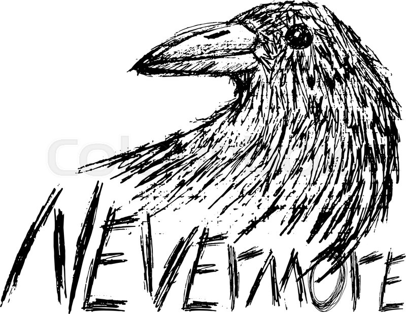 800x620 Crow Raven Handdrawn Sketch Text Nevermore Isolated On White - Raven Sketch