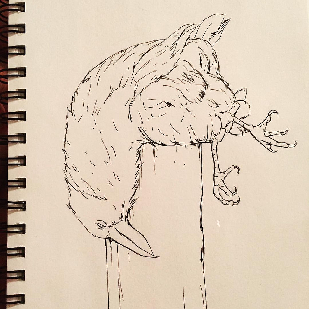 1024x1024 Dead Raven Study - Raven Sketch