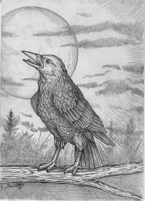 289x400 How To Paint A Raven Demonstration By Artist Dan Waltz - Raven Sketch